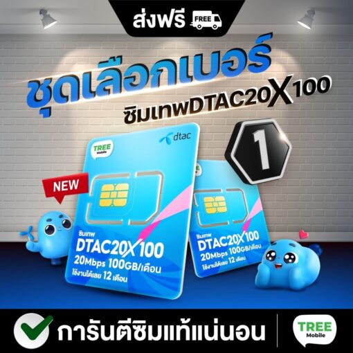 ซิมเทพ DTAC 20 x100