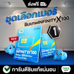 ซิมเทพ DTAC infinity x100