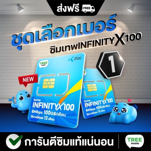 ซิมเทพ DTAC infinity x100