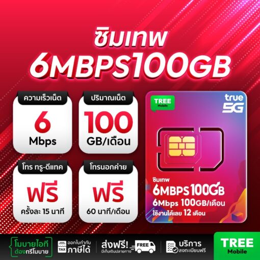ซิมเทพ True 6Mbps 100GB ความเร็วสูง คุ้มค่าที่สุด - Image 2