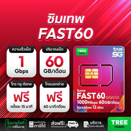 ซิมเทพ True Fast60 เน็ตแรง 1000Mbps 60GB คุ้มเกินราคา - Image 2