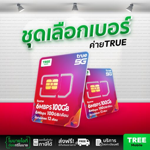 เลือกเบอร์ ซิมเทพ True 6Mbps 100GB ความเร็วสูง คุ้มค่าที่สุด